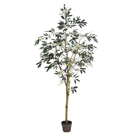 Vickerman 6 ft. Potted Olive Tree 777-Leaves TB180572